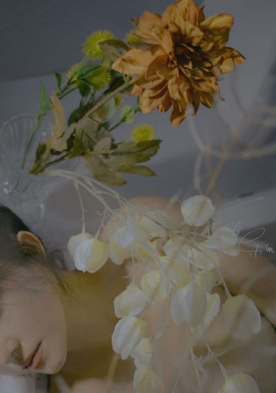 女人与公狍交酡过程高清视频_蓝光日本电影免费