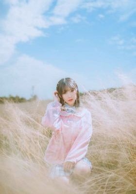 八戒八戒在线视频_高清免费电视剧